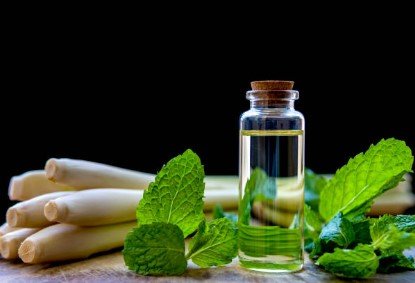 Home Cleaning Bundle | Non - Toxic, Plant - Based Essentials for a Naturally Clean Home - Liv With Nature